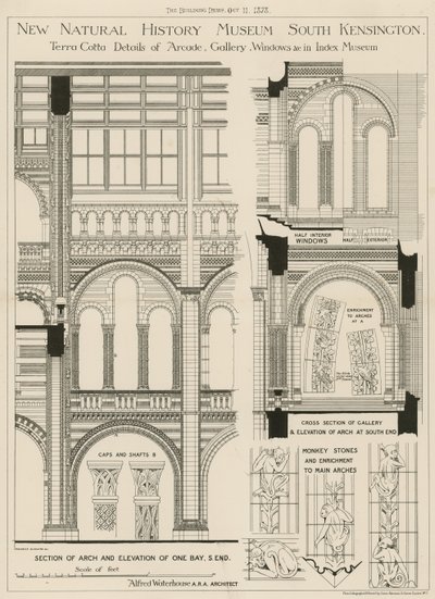 New Natural History Museum, South Kensington, London av English School