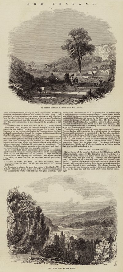 Nya Zeeland (gravyr) av English School