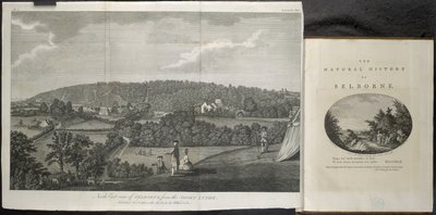 Nordostvy över Selbourne av English School