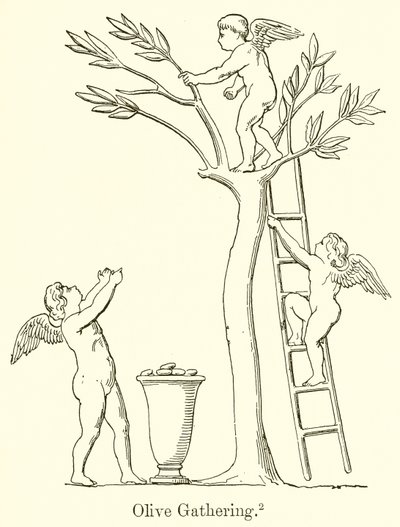 Olive Gathering av English School