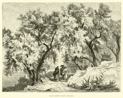 Olive Grove nära Venafro av English School