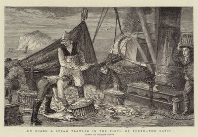 Ombord på en ångtrålare i Firth of Forth, fångsten av English School