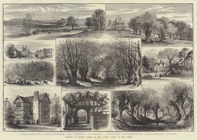 Invigning av Epping Forest by the Queen, Views in the Forest (gravyr) av English School