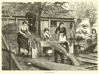 Osier-Peeling av English School