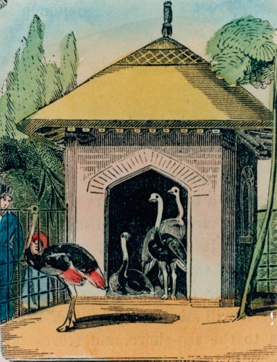 Struts och emu hus på London zoo. 1840-talet av English School