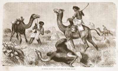 Strutsjakt - slutet på jakten, illustration från The Pictorial Edition of the Life and Discoveries of David Livingstone av J. Ewing Richie, pub. av A. Fullarton & Co., 1876 av English School