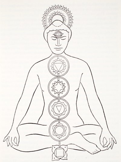 Padmasana eller lotusställning av English School