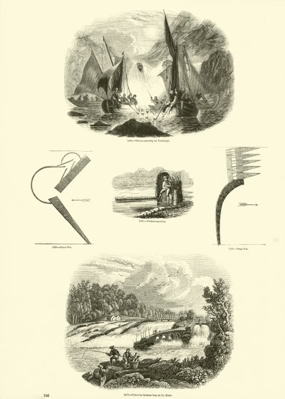 Sida från The Pictorial Museum of Animated Nature av English School