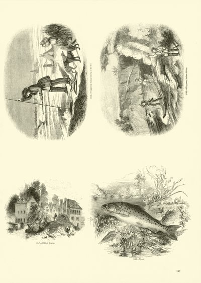 Sida från The Pictorial Museum of Animated Nature av English School
