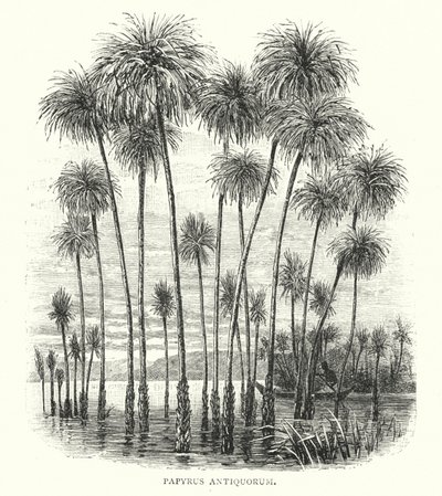 De gamlas papyrus (gravyr) av English School