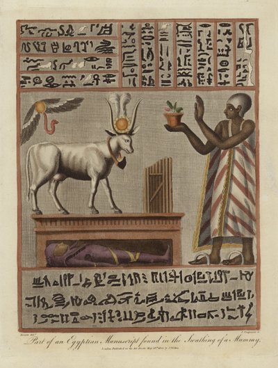 En del av ett egyptiskt manuskript som hittats i en mumie av English School