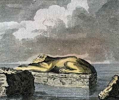 Del av en egyptisk sfinx som hittades i ruinerna av den antika staden Canopus av English School