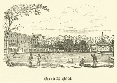 Peerless Pool (gravyr) av English School