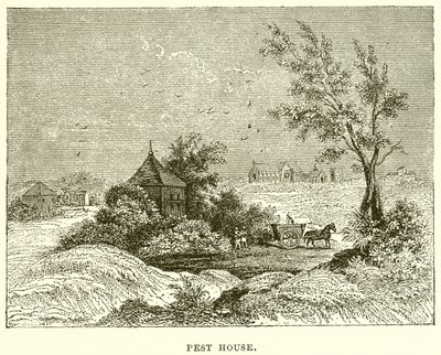 Pest House av English School