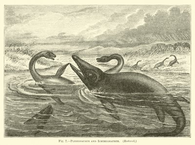 Plesiosaurus och Ichthyosaurus av English School