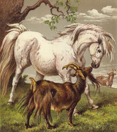 Ponny och getter (färg litho) av English School