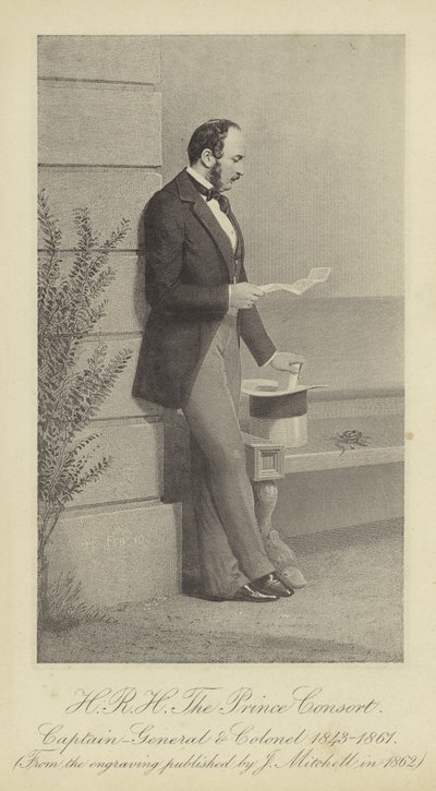 Porträtt av Albert, Prinsgemalen av English School