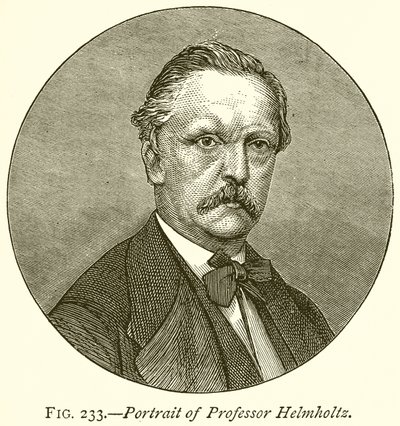 Porträtt av professor Helmholtz av English School