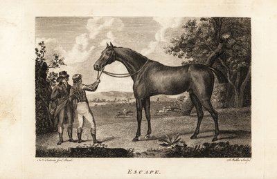 Porträtt av den hyllade fullblodsracern Fly med jockey och tränare av English School