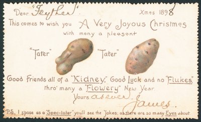 Potatis, julkort av English School