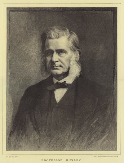 Professor Huxley (gravyr) av English School