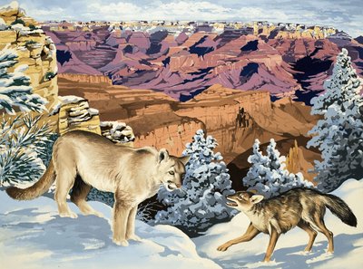 Puma och Coyote möts i Grand Canyon National Park av English School