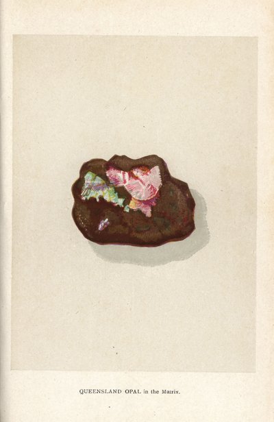 Queensland-opal i matrisen, från Edwin Streeters "Precious Stones and Gems", London, George Bell & Sons av English School
