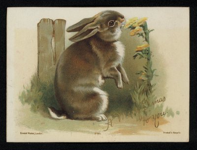 Kanin äter gula blommor, julhälsningskort. (chromolitho) av English School