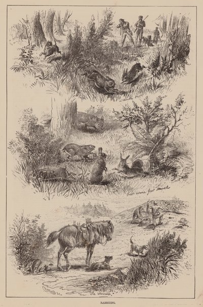 Rabbiting (gravyr) av English School