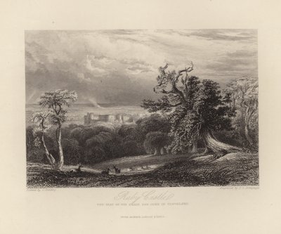 Raby slott av English School