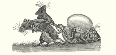 Ratten tragen ein Ei nach Hause (Gravur) von English School