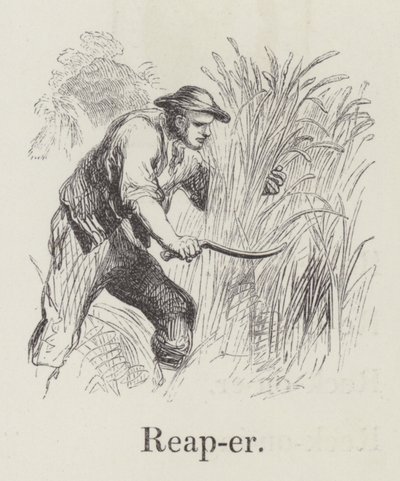 Reaper (gravyr) av English School