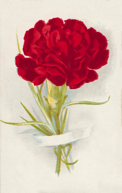 Röd nejlika (chromolitho) av English School