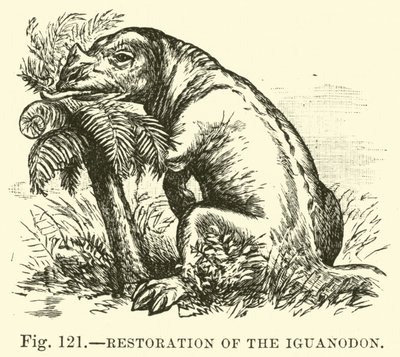 Restaurering av Iguanodon av English School