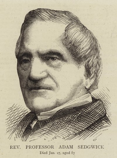 Pastor professor Adam Sedgwick (gravyr) av English School
