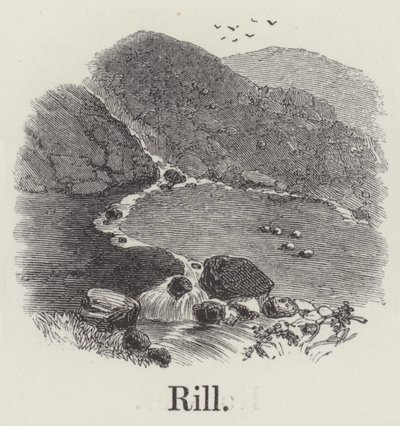Rill (gravyr) av English School