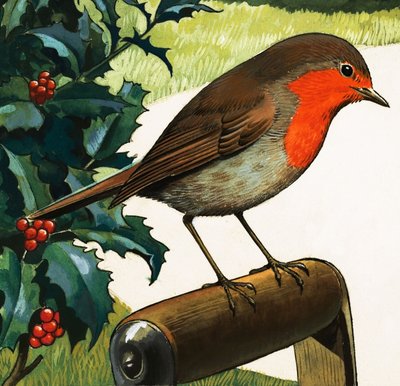 Robin Redbreast (gouache på papper) av English School