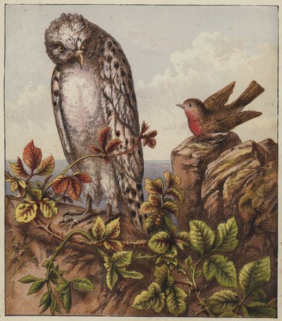 Robins julsång (färglitografi) av English School
