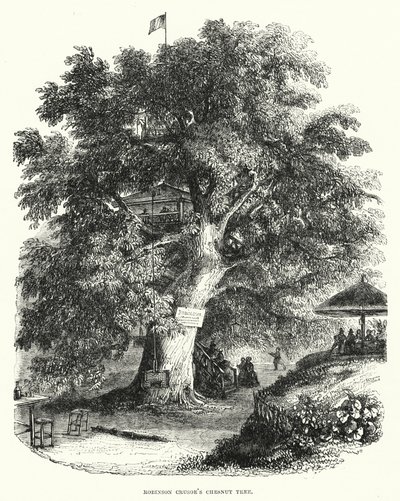Robinson Crusoes kastanjeträd (gravyr) av English School