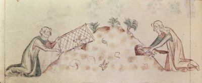 Roy 2 B VII f.155v Kvinnor som fångar en kanin med ett nät och en iller, från 