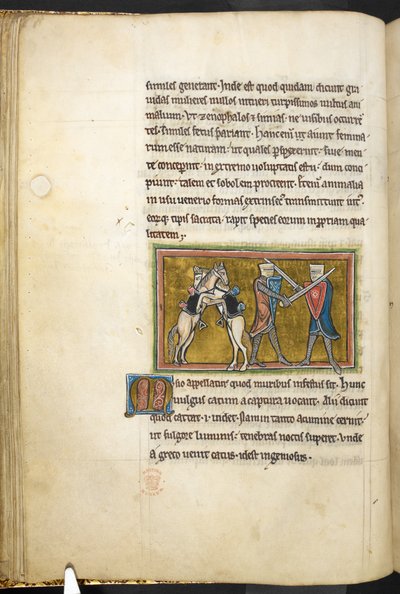 Royal 12 F.XIII, f.42v Två riddare slåss till fots med svärd, medan deras hästar slåss mot varandra på bakbenen. , från Bestiary (ff. 3-141), Lapidary (ff. 141v-149)  , 1200-talets andra kvartal (vellum) av English School