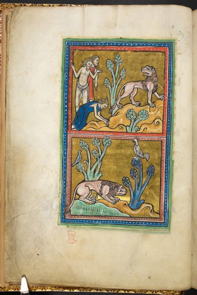 Royal 12 F.XIII, f.5v Överst: tre män, varav en av dem böjer sig för ett lejon; nedan: ett lejon hukade vid foten av ett träd, med en tupp sittande på toppen.  från Bestiary (ff. 3-141), Lapidary (ff. 141v-149)  2:a fjärdedelen av 1200-talet av English School