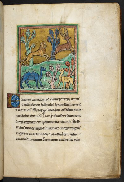 Royal 12 F.XIII, f.7   En leopard som jagar en hjort, med en kamel och ett annat djur.  från Bestiary (ff. 3-141), Lapidary (ff. 141v-149)  2:a fjärdedelen av 1200-talet av English School
