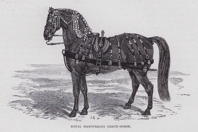Royal Hannoverian Coach-Horse (gravyr) av English School
