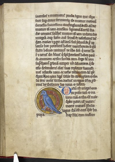 Royal MS 12 C XIX f.50v, Hoopoe, från 