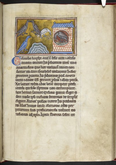 Royal MS 12 C XIX f.54r Doves, från 