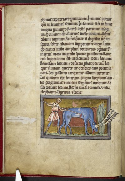 Royal MS 12 C XIX, f.7v Antilope, från 