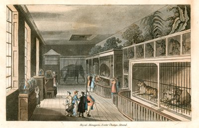 Royal Menagerie, Exeter Change, Strand (gravyr i färg) av English School