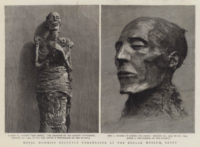 Kungliga mumier har nyligen lösts upp på Boulak-museet, Egypten (gravyr) av English School