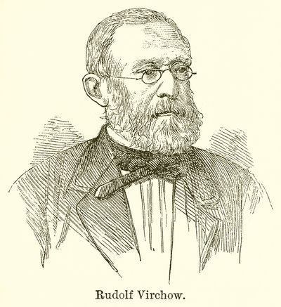 Rudolf Virchow av English School